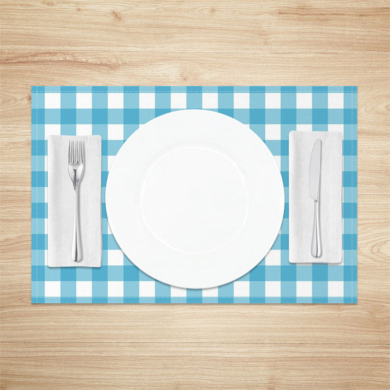 Aperturee - Bright Blue White Plaid Modern Set Of 4 Placemats