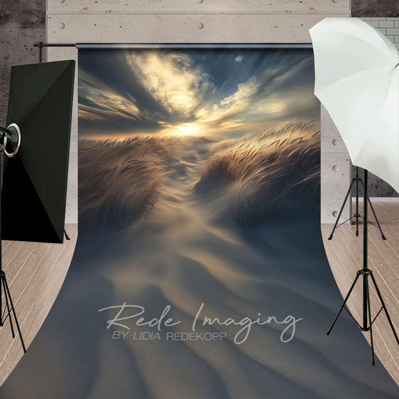 Aperturee - Aperturee Sunset Sky Beach Dusk Wheat Field Sweep Backdrop