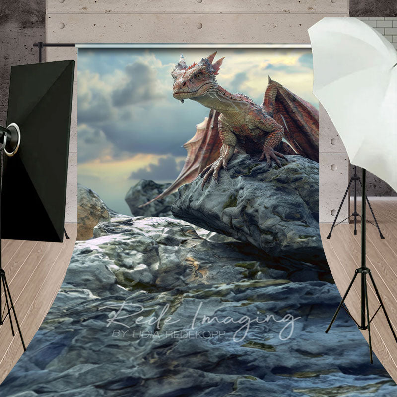 Aperturee - Aperturee Cloud Rocks Welsh Dragon Natural Scene Sweep Backdrop