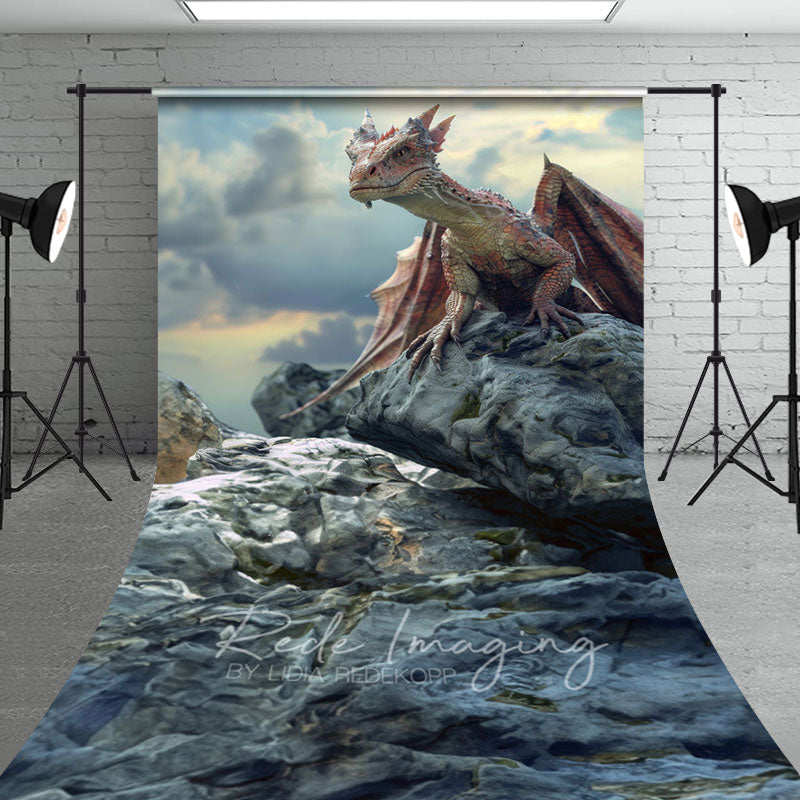 Aperturee - Aperturee Cloud Rocks Welsh Dragon Natural Scene Sweep Backdrop