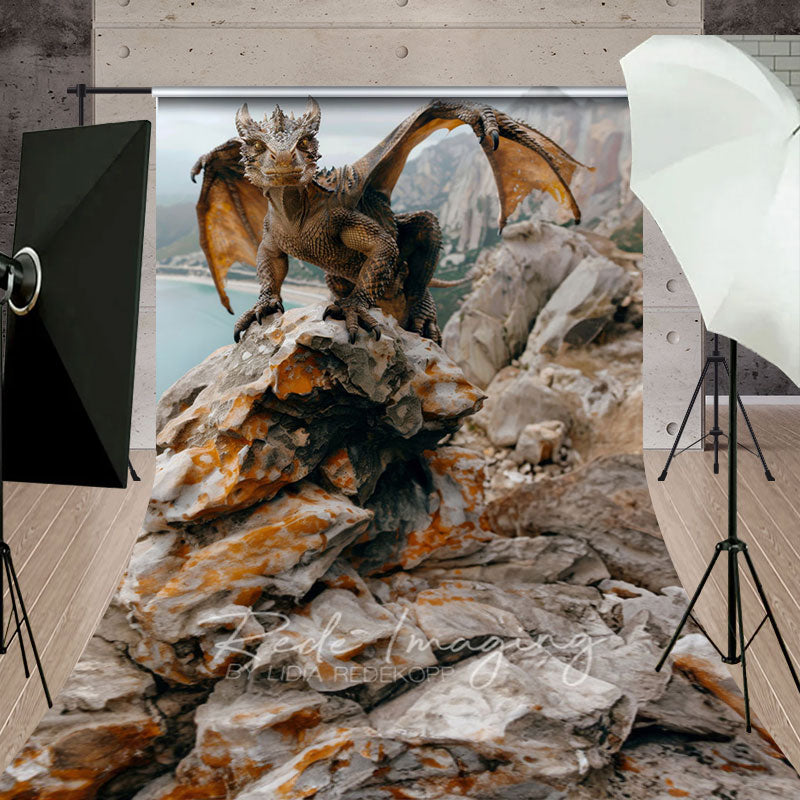 Aperturee - Aperturee Coast Rocks Welsh Dragon Natural Scene Sweep Backdrop