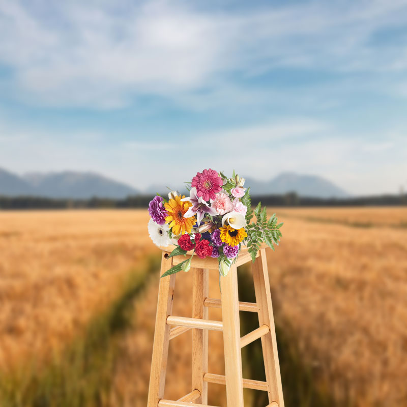 Aperturee - Golden Wheat Field Blue Sky Outdoor Beautiful Backdrop