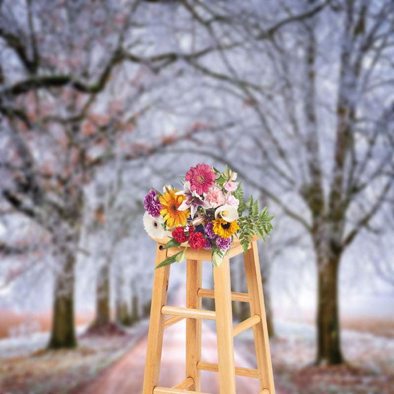 Aperturee - Frozen Tree Road Winter Scenery Photo Backdrop