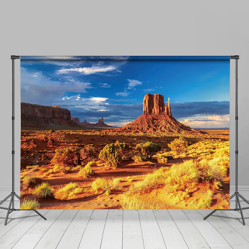 Aperturee - Aperturee Overgrown Desert Blue Sky Natural Scene Backdrop