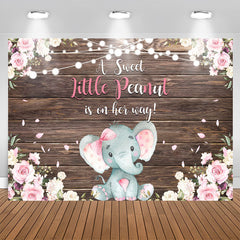 Aperturee - A Sweet Little Peanut Is On Her Way Baby Shower Backdrop