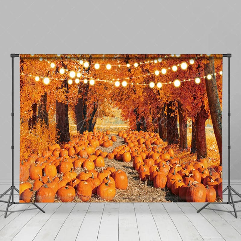 Aperturee - Aperturee A Road Filled With Pumpkins Autumn Photo Backdrop