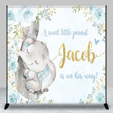 Aperturee Aperturee A Sweet Little Peanut Is On His Way Backdrop Custom Elephant Baby Shower Blue and Gold Floral Welcome Sign Decor