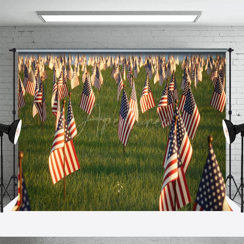 Aperturee - Aperturee American Flags Standing Grassland Mourn Backdrop