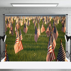 Aperturee - Aperturee American Flags Standing Grassland Mourn Backdrop