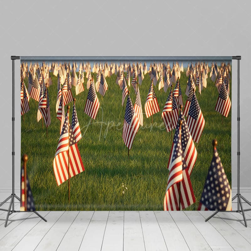 Aperturee - Aperturee American Flags Standing Grassland Mourn Backdrop
