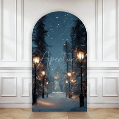 Aperturee - Aperturee Arch Backdrop Winter Night Street Lamp Snow Cover Magical Blue Forest Path Chiara Wall Background Christmas Decor