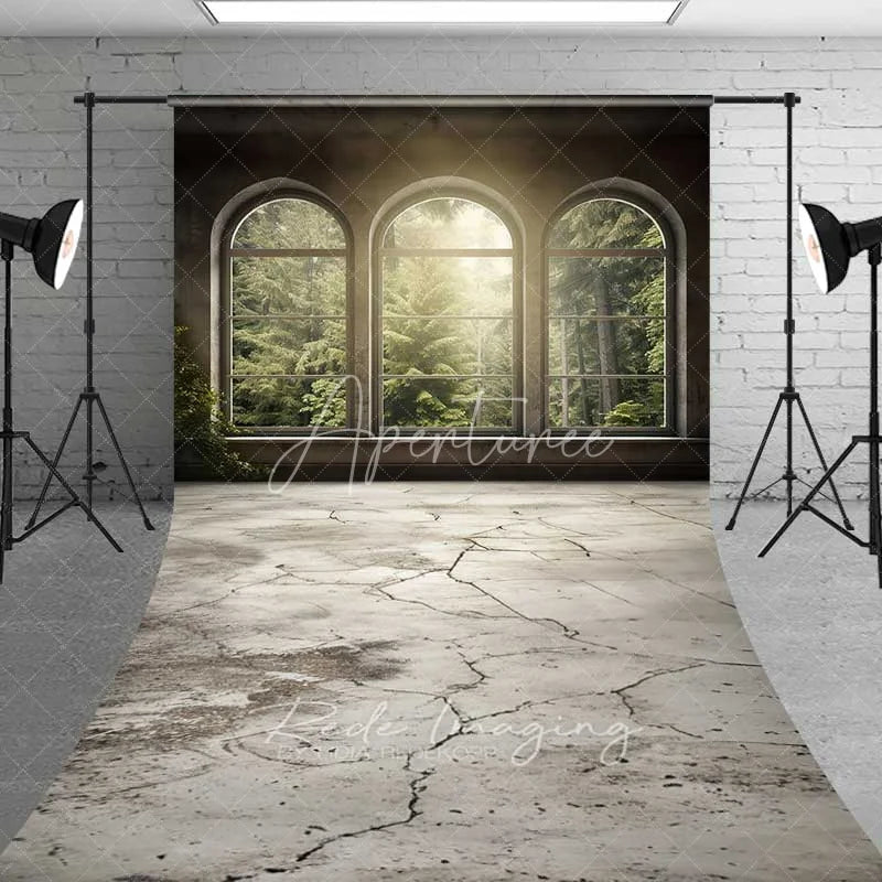 Aperturee - Aperturee Arched Window Forest View Sweep Photo Backdrop Sunlight Green Woods Nature Background Indoor Scenery Floor Prop