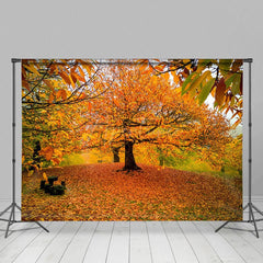 Aperturee - Aperturee Autumn Deciduous Forest Warm Photography Backdrop