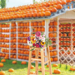 Aperturee - Aperturee Autumn Pumpkin House Sunshine Photography Backdrop