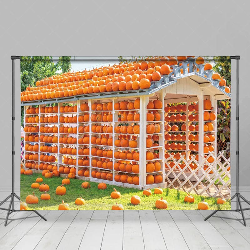 Aperturee - Aperturee Autumn Pumpkin House Sunshine Photography Backdrop