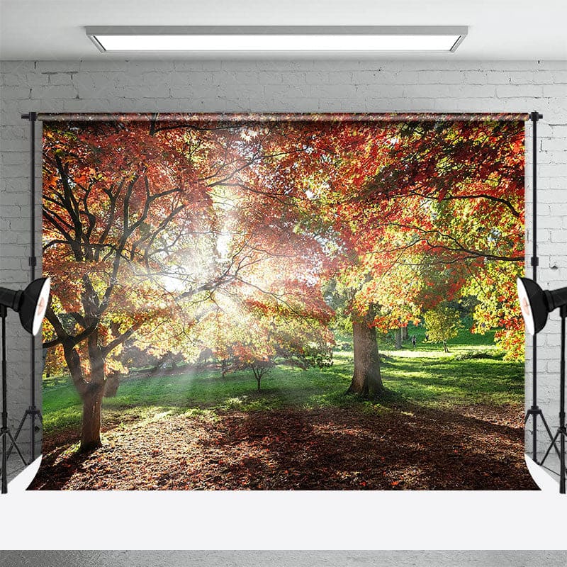 Aperturee - Aperturee Autumn Sunshine Forest Warm Photography Backdrop