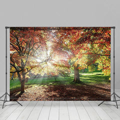 Aperturee - Aperturee Autumn Sunshine Forest Warm Photography Backdrop