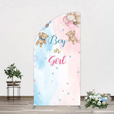 Aperturee - Aperturee Balloon Teddy Baby Shower Gender Reveal Half Moon Arch Backdrop