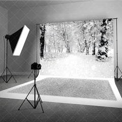 Aperturee - Aperturee Black and White Winter Forest Photography Backdrop Snowy Path Through the Trees Moody Holiday Photo Background
