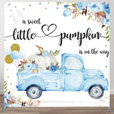 Aperturee - Aperturee Blue Car Flower Fabric Backdrop Cover for Baby Shower