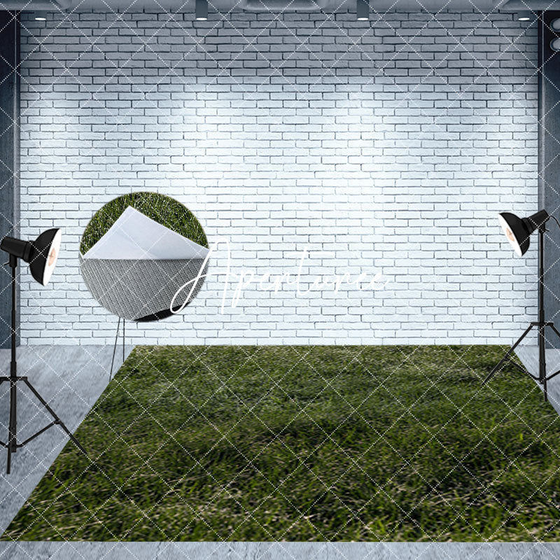 Aperturee - Aperturee Blue Elf Magical Mushroom House Room Set Backdrop