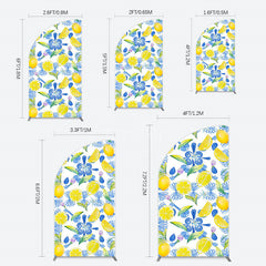 Aperturee - Aperturee Blue White Mediterranean Lemon Birthday Half Moon Arch Backdrop