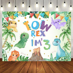 Aperturee - Aperturee Cartoon Colorful Dinosaurs 3rd Birthday Backdrop