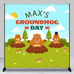 Aperturee - Aperturee Custom Birthday Backdrop Groundhog Day Cartoon Animals Green Grass Party Decor