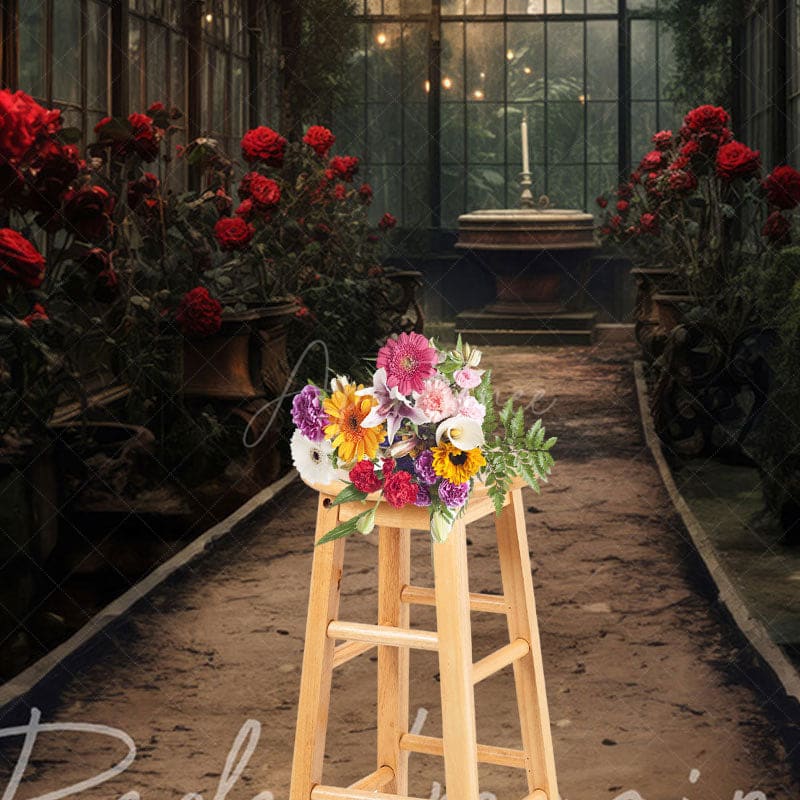 Aperturee - Aperturee Dark Indoor Lovely Greenhouse Window Photo Backdrop
