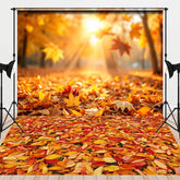 Aperturee - Aperturee Fallen Leaves Under The Ground Combo Set Backdrop