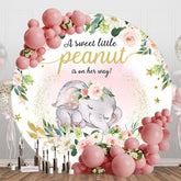 Aperturee - Aperturee Floral Elephant Sweet Peanut Round Baby Shower Backdrop