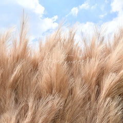 Aperturee - Aperturee Fluffy Light Brown Faux Pampas Grass Artificial Flower Wall Elegant Boho Rustic Event Decor Backdrop