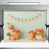 Aperturee - Aperturee Fresh Pink Peachy Lights Wall Cake Smash Backdrop