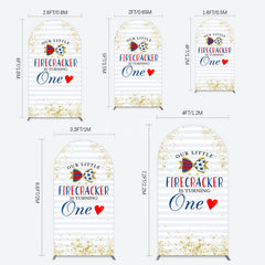 Aperturee - Aperturee Glitter Firecracker Holiday Birthday Arch Backdrop