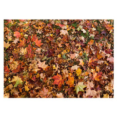 Aperturee - Aperturee Grass Falling Autumn Maple Leaves Rubber Floor Mat