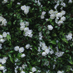 Aperturee - Aperturee Green Leaves White Flower Artificial Party Decor