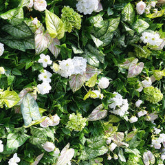 Aperturee - Aperturee Green Plant Leaves White Rose Flower Wall For Wedding