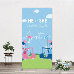 Aperturee - Aperturee He or She Golf Theme Gender Reveal Rectangle Arch Backdrop Pink and Blue Baby Shower Party Decor