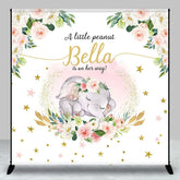 Aperturee - Aperturee Little Peanut Is On Her Way Custom Baby Shower Backdrop