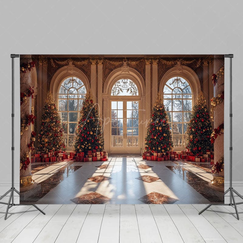 Aperturee - Aperturee Luxury Palace Window Christmas Vibe Photo Backdrop