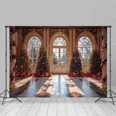 Aperturee - Aperturee Luxury Palace Window Christmas Vibe Photo Backdrop