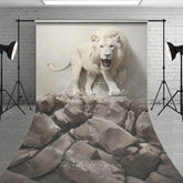 Aperturee - Aperturee Majestic White Lion Roaring on Cracked Wall and Rocky Terrain Sweep Backdrop Dramatic Wildlife Portrait Photography