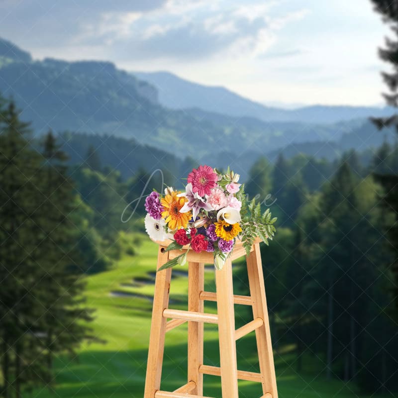 Aperturee - Aperturee Mountain Sky Green Lawn Forest Natural Scene Backdrop