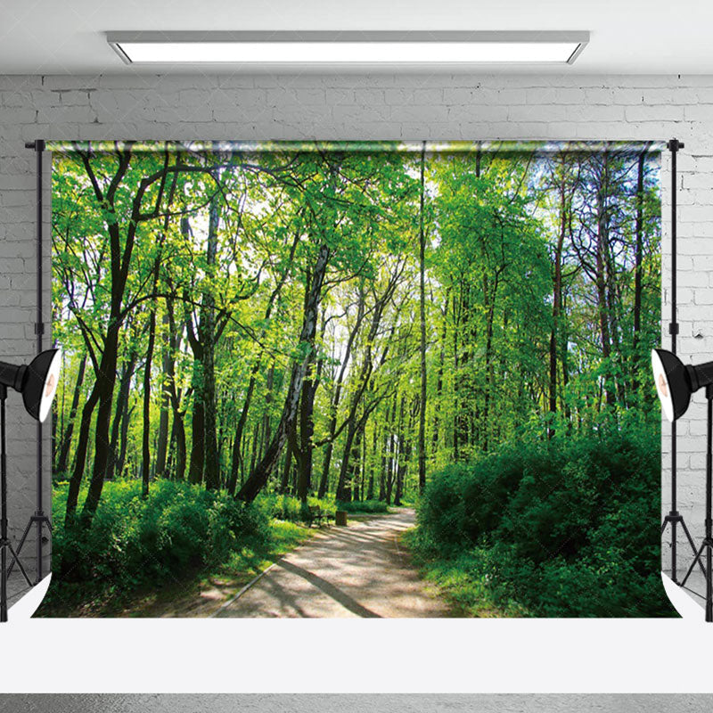 Aperturee - Aperturee Mystical Forest Path Vibrant Green Foliage Backdrop