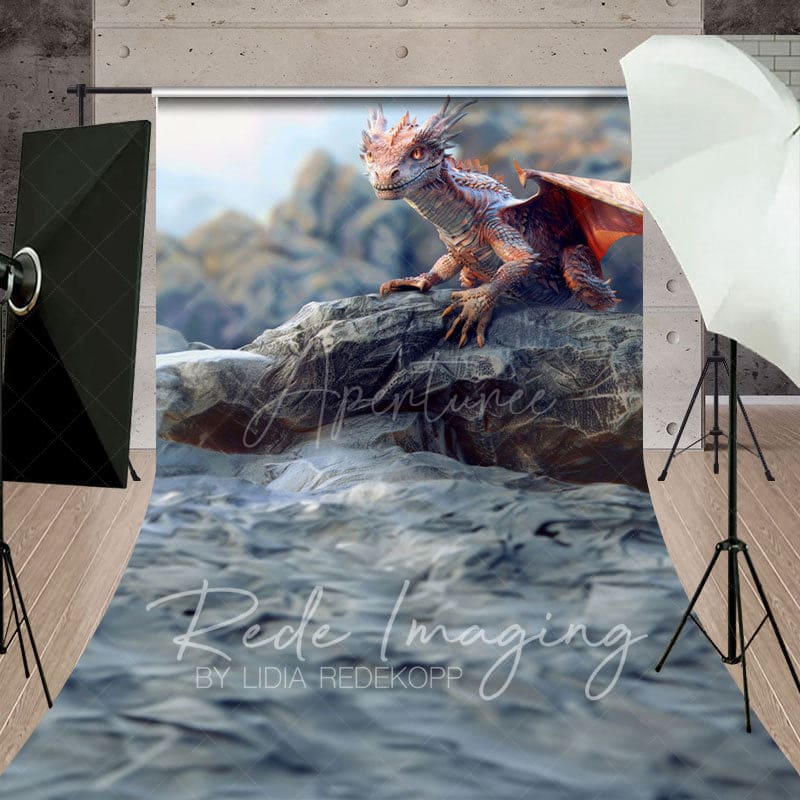 Aperturee - Aperturee Natural Rocky Cliff Dragon Sweep Photography Backdrop