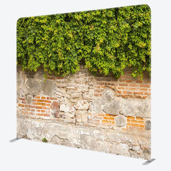 Aperturee - Aperturee Old Wall Green Vegetation Square Tension Backdrop