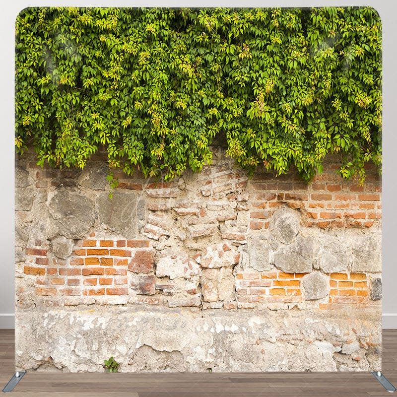 Aperturee - Aperturee Old Wall Green Vegetation Square Tension Backdrop
