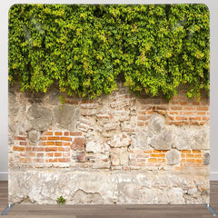 Aperturee - Aperturee Old Wall Green Vegetation Square Tension Backdrop