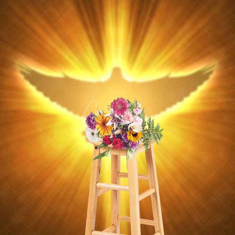 Aperturee - Aperturee Pigeon In Light Heaven Scene Photography Backdrop