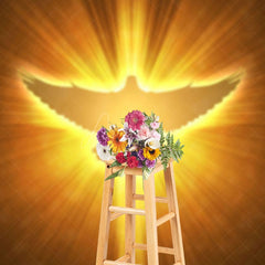 Aperturee - Aperturee Pigeon In Light Heaven Scene Photography Backdrop
